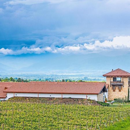 Chateau Mosmieri Hotel & Winery 泰拉维 外观 照片