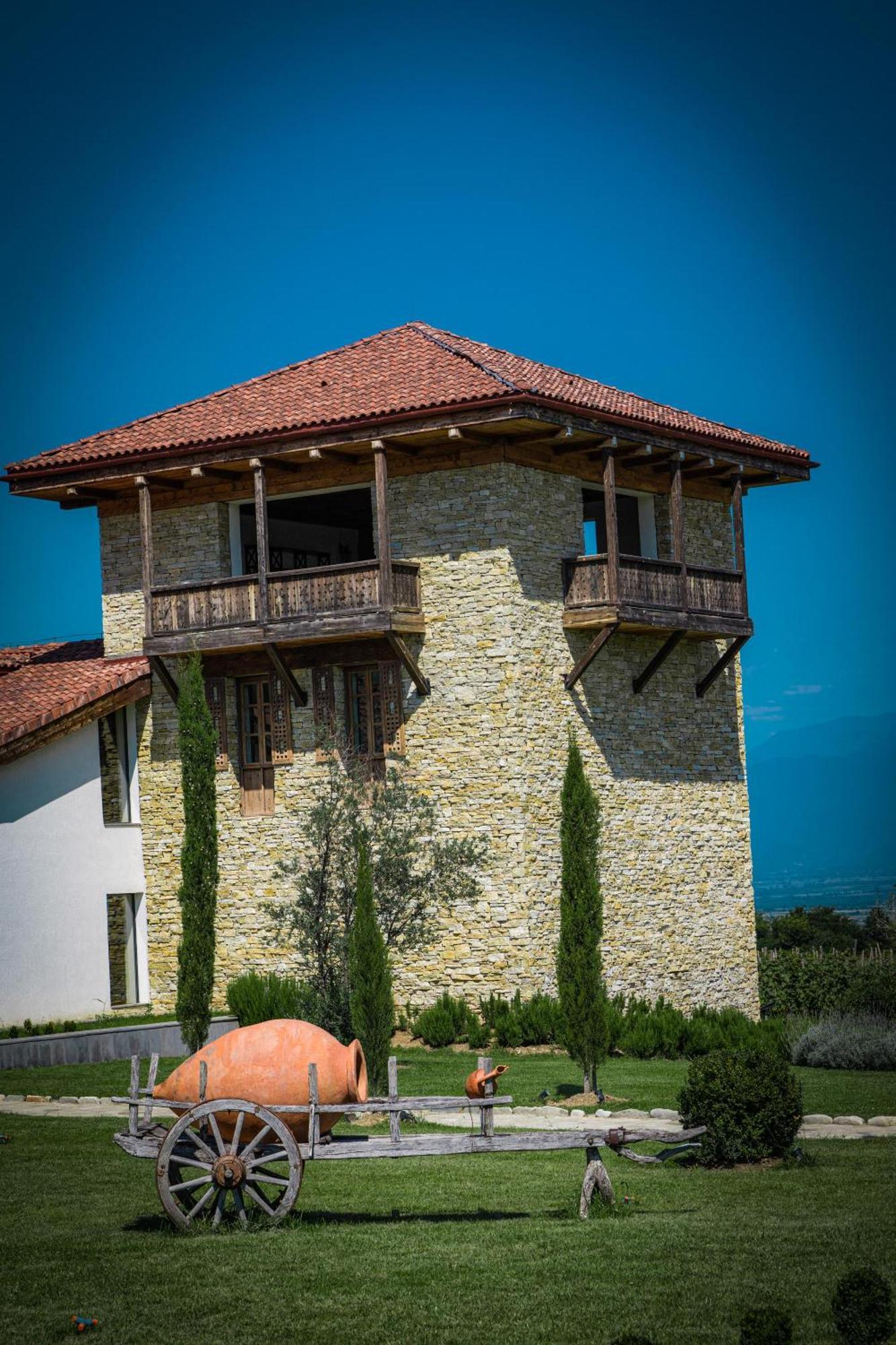 Chateau Mosmieri Hotel & Winery 泰拉维 外观 照片