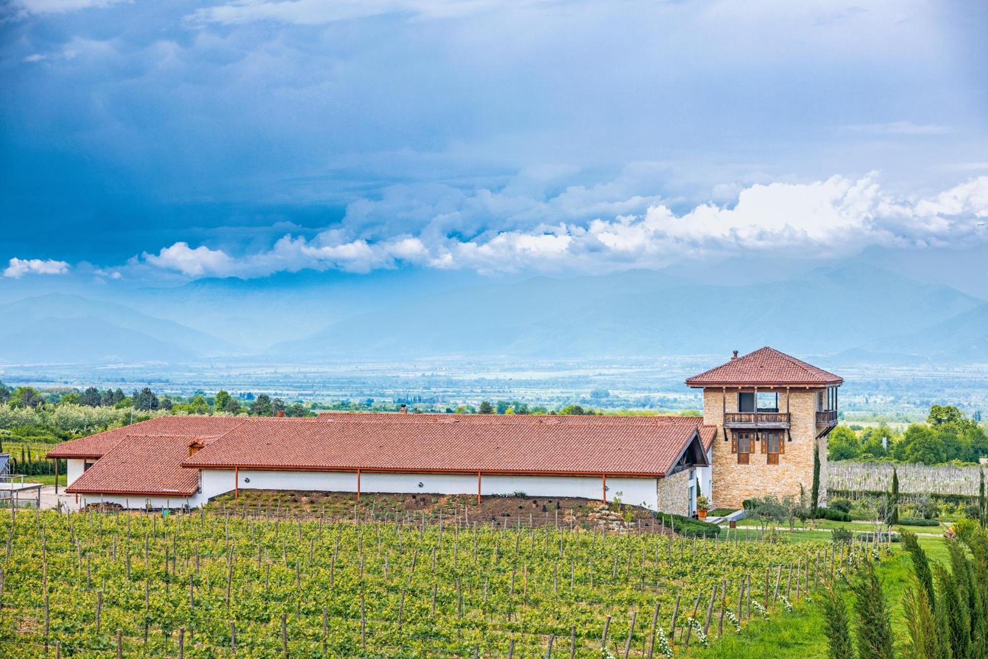 Chateau Mosmieri Hotel & Winery 泰拉维 外观 照片