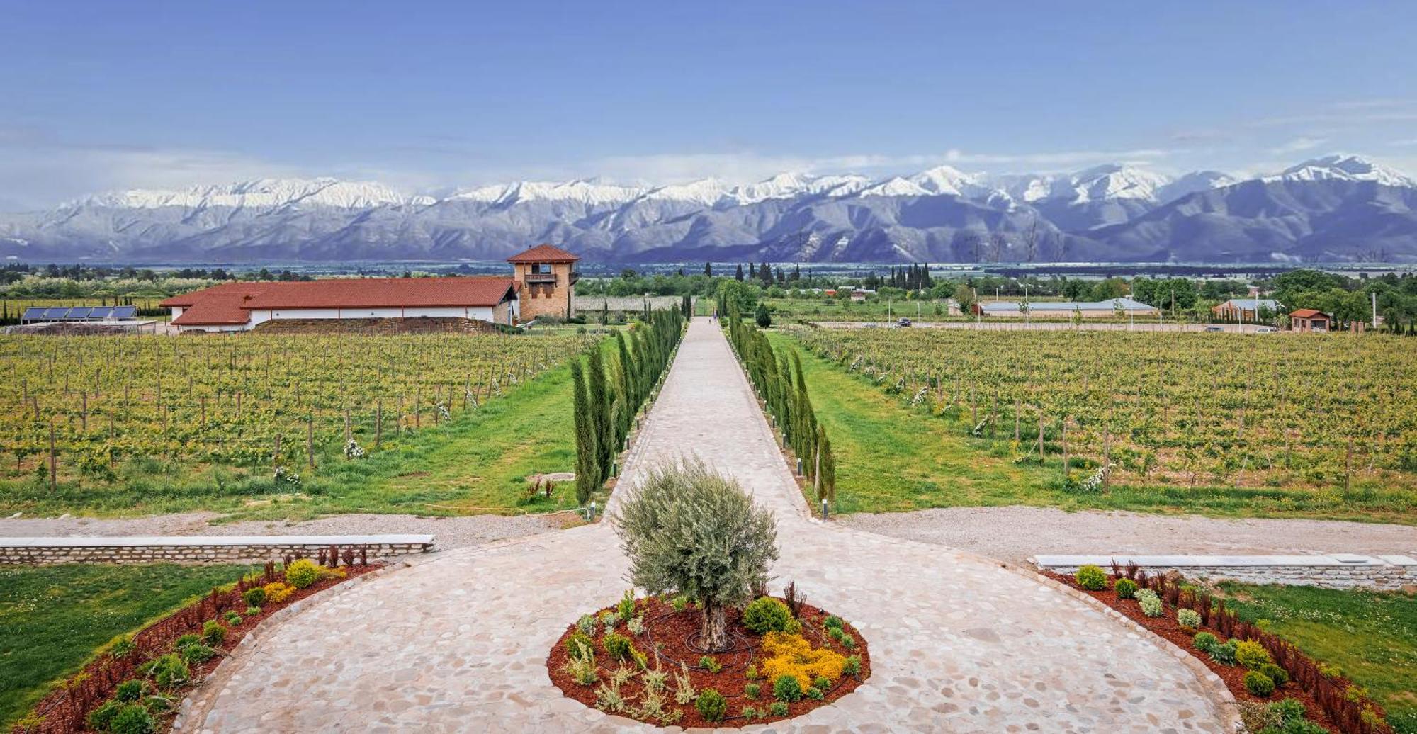 Chateau Mosmieri Hotel & Winery 泰拉维 外观 照片