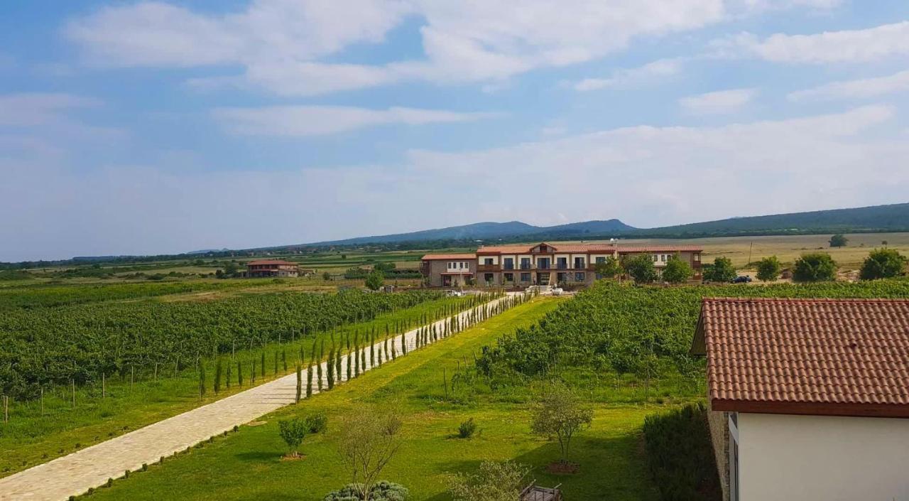 Chateau Mosmieri Hotel & Winery 泰拉维 外观 照片
