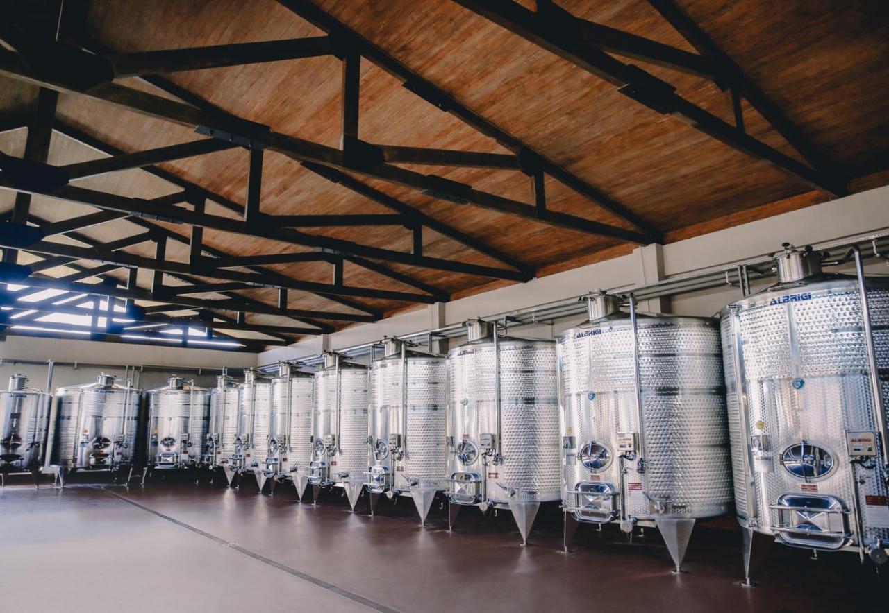 Chateau Mosmieri Hotel & Winery 泰拉维 外观 照片