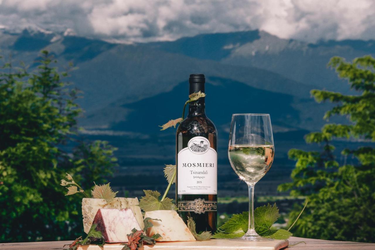 Chateau Mosmieri Hotel & Winery 泰拉维 外观 照片