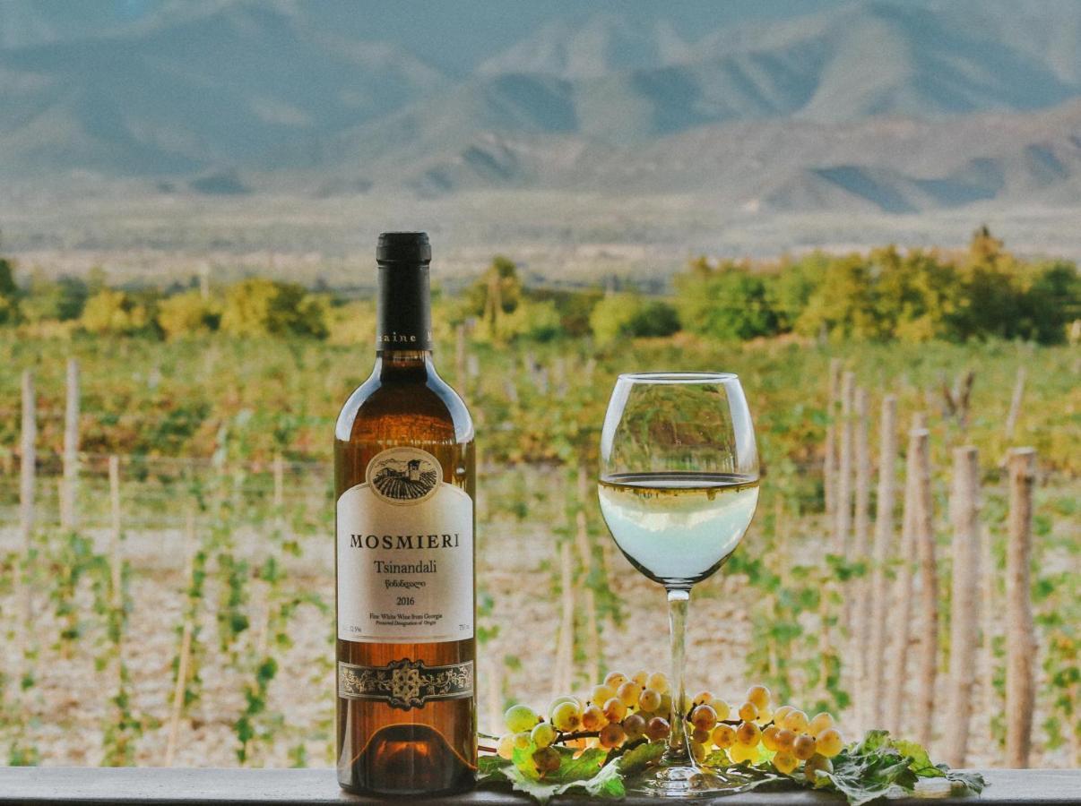 Chateau Mosmieri Hotel & Winery 泰拉维 外观 照片